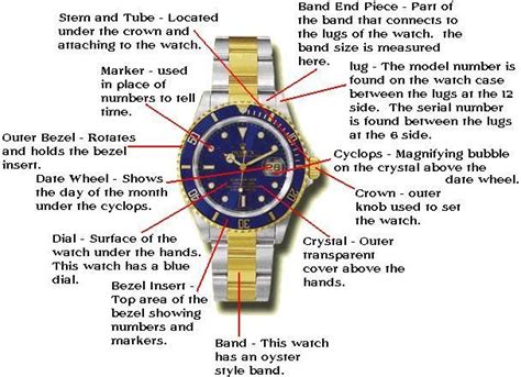 anatomy of a rolex watch|rolex watches.